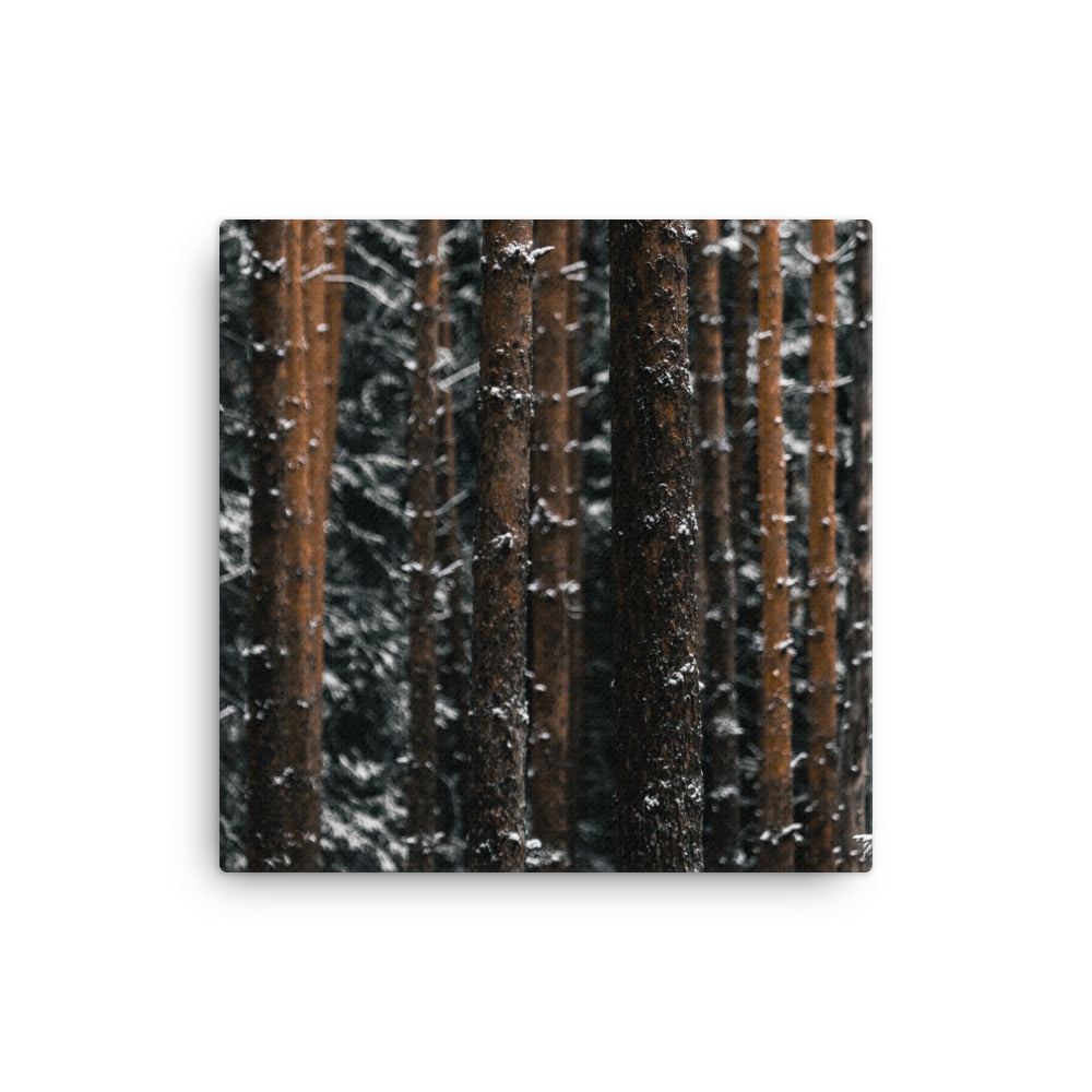 Finnish Winter Canvas